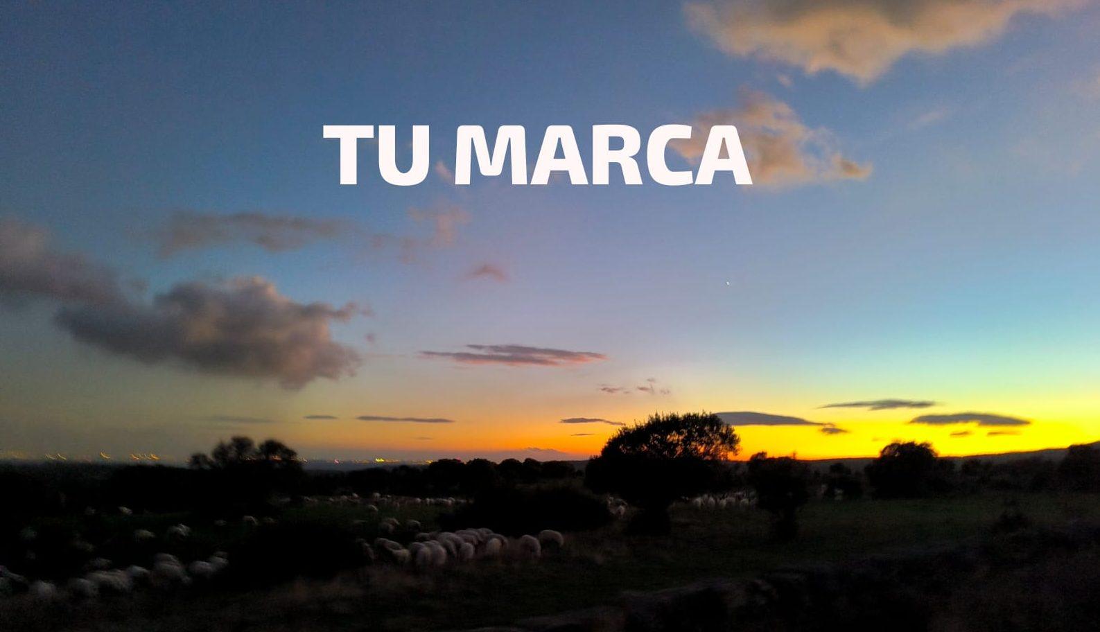 La Ubicación Ideal para Tu Marca